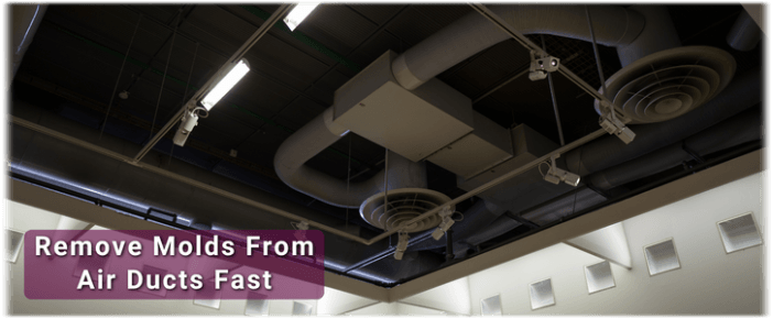 Air Duct Mold Removal in Granbury TX
